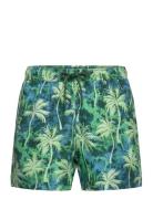 Borg Print Swim Shorts Uimashortsit Green Björn Borg