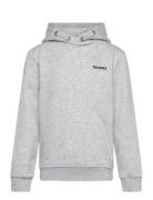 Borg Essential 4 Hoodie Sport Sweat-shirts & Hoodies Hoodies Grey Björ...