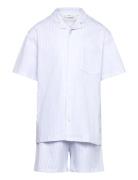 Striped Cotton Short Pyjamas Pyjamasetti Pyjama Blue Mango