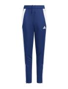 Tiro24 Trptw Sport Sport Pants Blue Adidas Performance