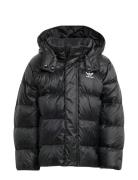 Down Jacket Toppatakki Black Adidas Originals