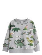 Sweatshirt Dino Aop Tops Sweat-shirts & Hoodies Sweat-shirts Grey Lind...