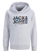 Jjgeplas Sweat Hood Mni Tops Sweat-shirts & Hoodies Hoodies Grey Jack ...