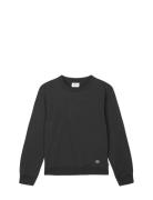 Light Terry Solo Sweatshirt Tops Sweat-shirts & Hoodies Sweat-shirts B...