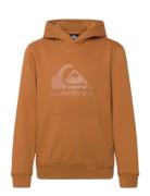 Comp Logo Hoodie Youth Tops Sweat-shirts & Hoodies Hoodies Brown Quiks...
