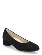 Pumps Shoes Heels Pumps Classic Black Gabor