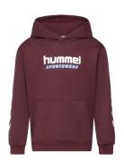 Hmljr Logo Hoodie Sport Sweat-shirts & Hoodies Hoodies Burgundy Hummel