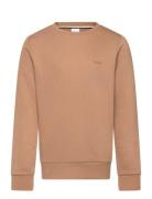 Sweatshirt Tops Sweat-shirts & Hoodies Sweat-shirts Beige BOSS