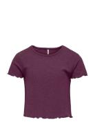 Kognella S/S O-Neck Top Noos Jrs Tops T-shirts Short-sleeved Purple Ki...
