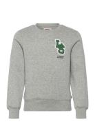 Fw-Crew Tops Sweat-shirts & Hoodies Sweat-shirts Grey Levi's
