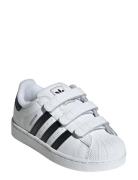 Superstar Ii Cf C Matalavartiset Sneakerit Tennarit White Adidas Origi...