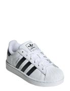 Superstar Ii C Matalavartiset Sneakerit Tennarit White Adidas Original...
