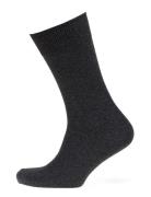 Claudio Socks Solid Colours. Underwear Socks Regular Socks Grey Claudi...