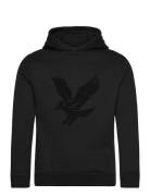 Towelling Eagle Pullover Hoodie Tops Sweat-shirts & Hoodies Hoodies Bl...