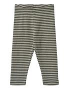 Jersey Leggings Jules Bottoms Leggings Green Wheat