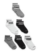 6W-6Pk Crew Sock Sukat Black Converse