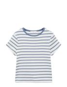Striped T-Shirt With Contrasting Collar Tops T-shirts Short-sleeved Wh...