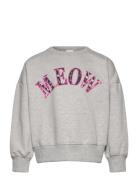 Tnpolina Os Sweatshirt Tops Sweat-shirts & Hoodies Sweat-shirts Grey T...