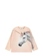 Mountoo Tops T-shirts & Tops Long-sleeved Pink Molo