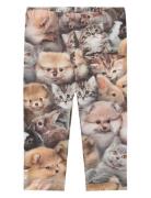 Stefanie Bottoms Leggings Beige Molo