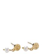 Ocean Nature Earsticks Accessories Jewellery Earrings Studs Gold Perni...