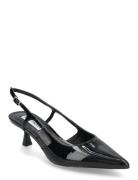 Legaci Shoes Heels Pumps Classic Black Steve Madden