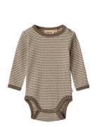 Wool Body L/S Lucca Bodies Long-sleeved Beige Wheat