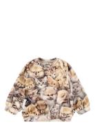 Disc Tops Sweat-shirts & Hoodies Sweat-shirts Beige Molo