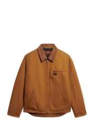 Cotton Canvas Ranch Jkt Ohut Takki Brown Superdry