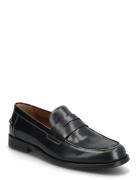 Natan Loaferit Matalat Kengät Black Steve Madden