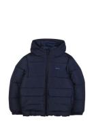 Puffer Jacket Toppatakki Navy BOSS