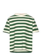 Stripes Freen Collie T-Shirt Tops T-shirts Short-sleeved Green THE ANI...