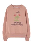 Flowers Dusty  Bear Sweatshirt Tops Sweat-shirts & Hoodies Sweat-shirt...