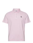 Heritage Stripe Polo Tops Polos Short-sleeved Pink Original Penguin Go...