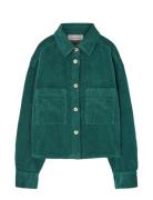 Freen Beabull Shirt Tops Shirts Long-sleeved Shirts Green THE ANIMALS ...