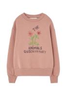 Flowers Dusty  Bear Sweatshirt Tops Sweat-shirts & Hoodies Sweat-shirt...