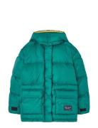 Lemur Kid Puffer Jacket Maroon Toppatakki Green THE ANIMALS OBSERVATOR...