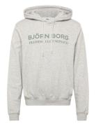 Borg Classic Print Hoodie Tops Sweat-shirts & Hoodies Hoodies Grey Bjö...