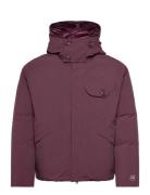 Micro-M Jacket Vuorillinen Takki Topattu Takki Burgundy C.P. Company