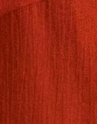 JDY - Oranssi - Jdyhazel S/S Shirt Wvn