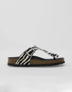 Scholl - Kuviollinen - Anais Animal