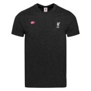 Liverpool T-paita Norja Lippu - Harmaa