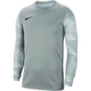 Nike Maalivahdin paita Park IV Dry - Harmaa/Valkoinen/Musta Lapset