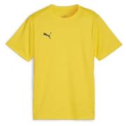 teamGOAL Jersey Jr Faster Yellow-PUMA Black-Sport Yellow