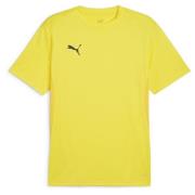 teamGOAL Jersey Faster Yellow-PUMA Black-Sport Yellow