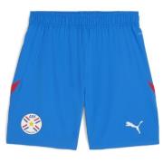 Puma Paraguay Men's Football Shorts