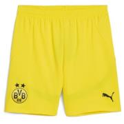 Puma Borussia Dortmund 24/25 Shorts Men